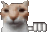 also epic danging cat