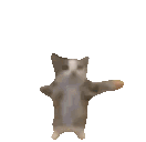 also epic danging cat